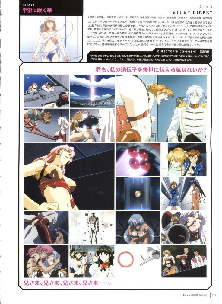 Aika Complete Fanbook