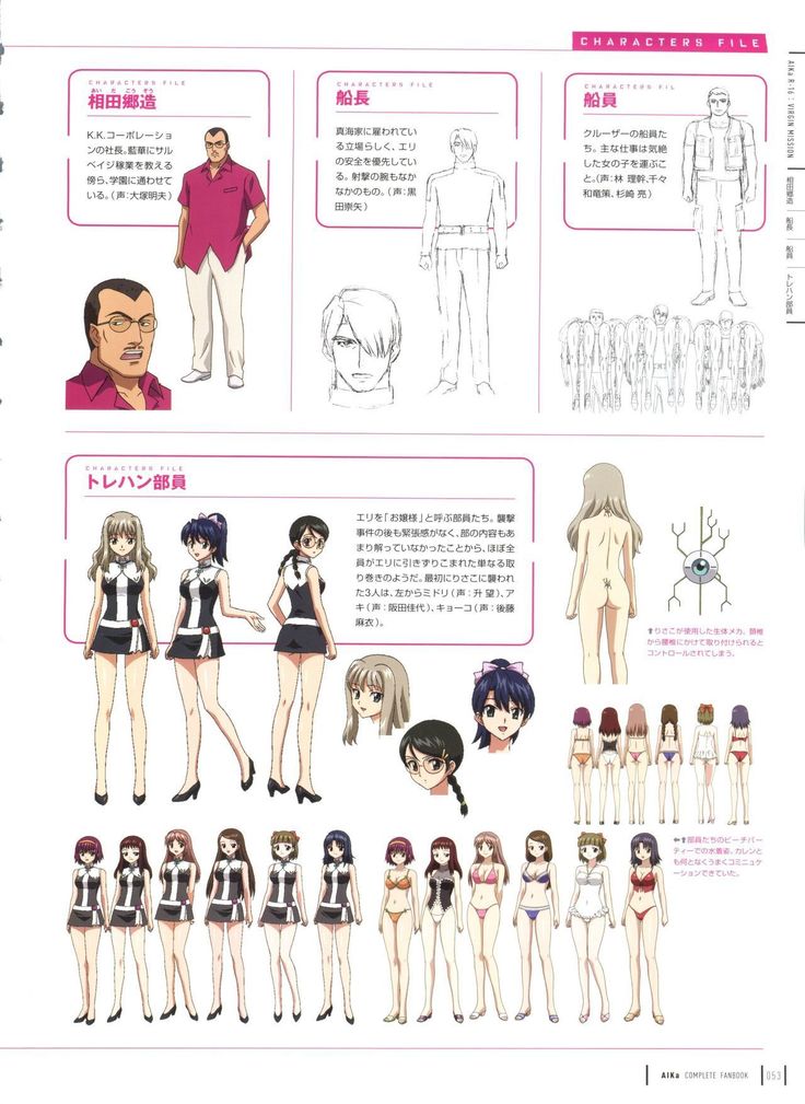 Aika Complete Fanbook