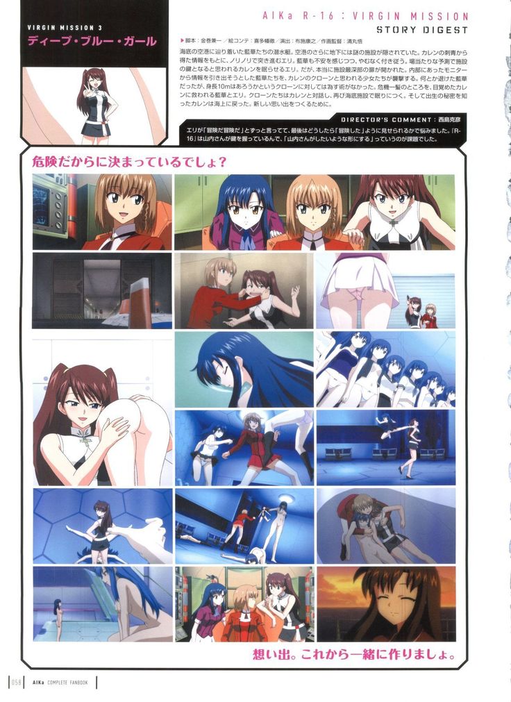Aika Complete Fanbook