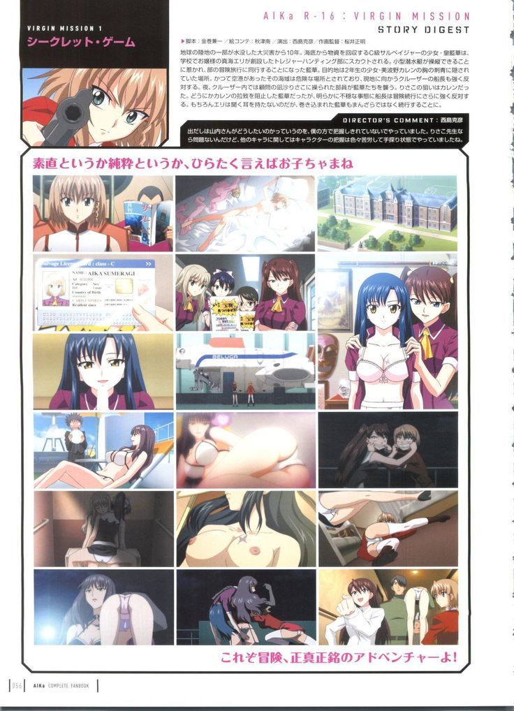 Aika Complete Fanbook