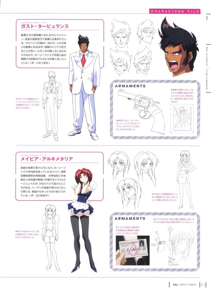 Aika Complete Fanbook