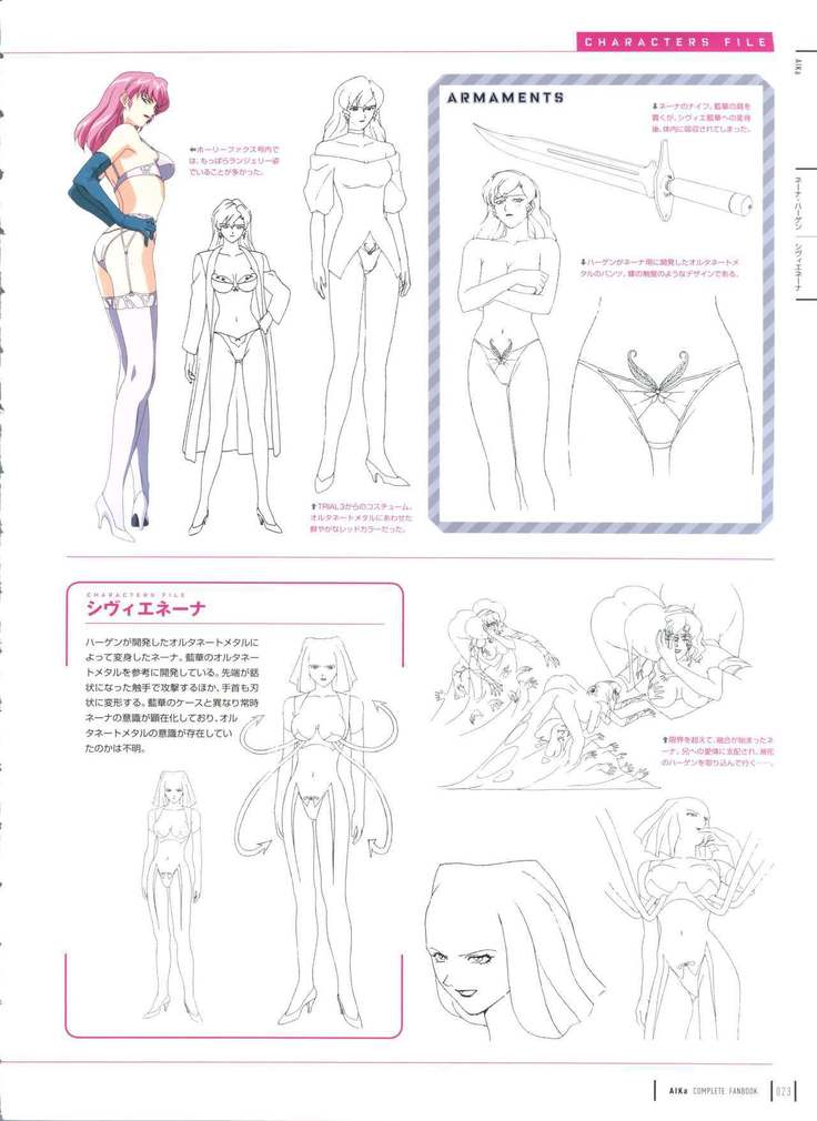Aika Complete Fanbook