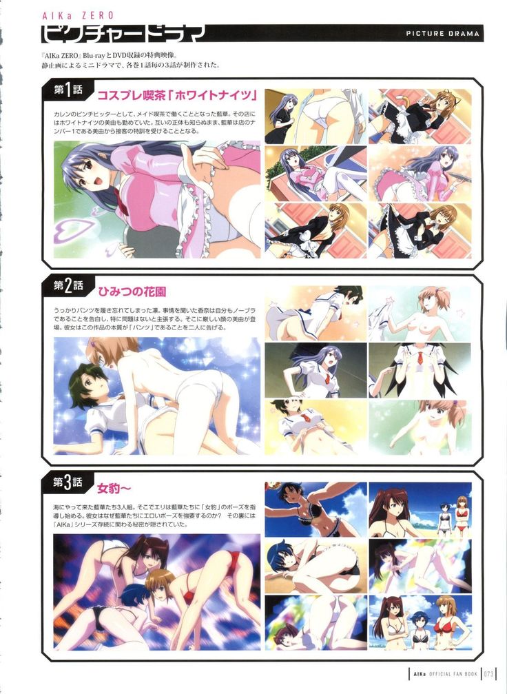 Aika Complete Fanbook