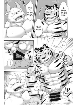 Tora no Tenin-san Page #14