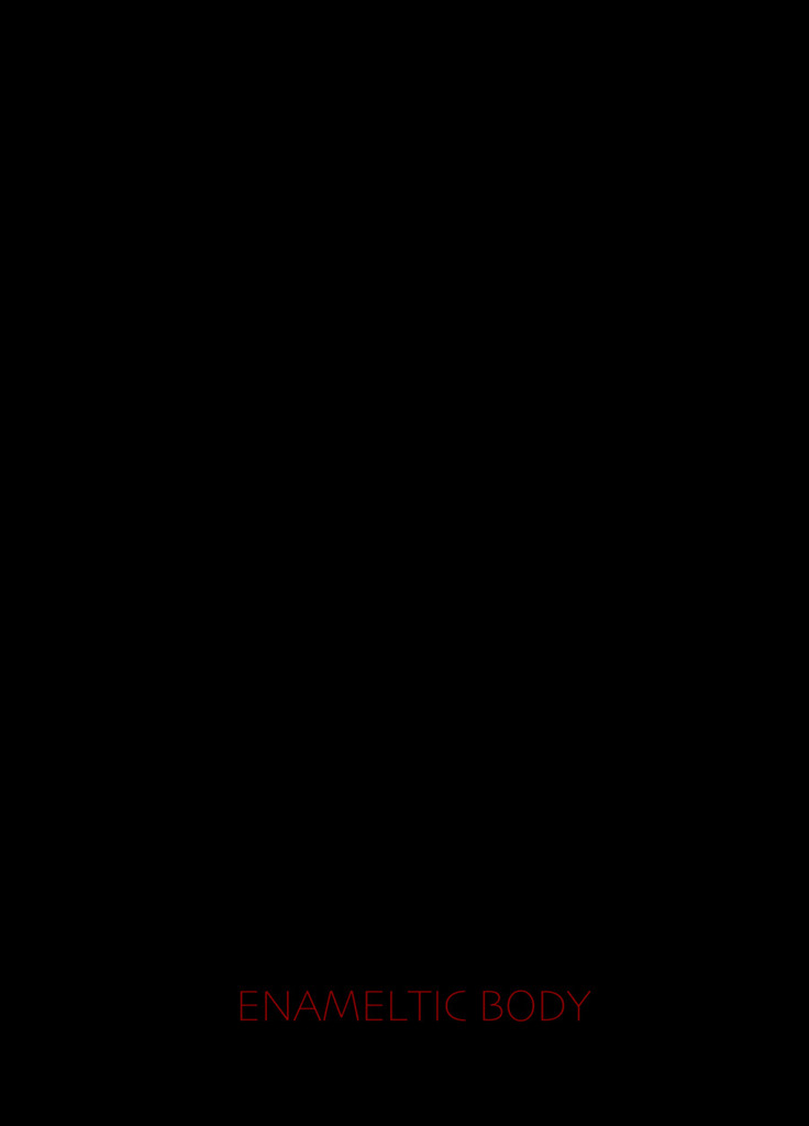 ENAMELTIC BODY
