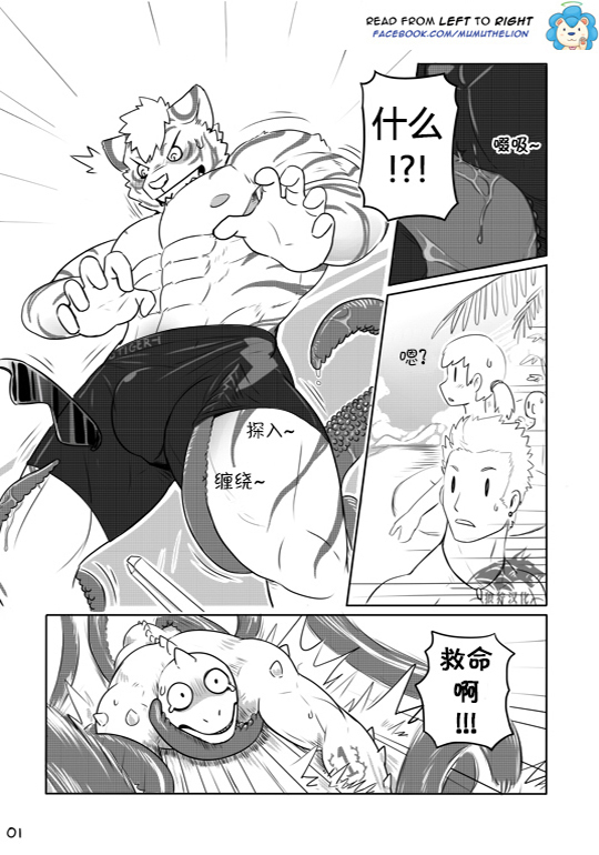 Dungeon Island 1+2