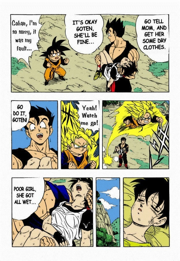 Dragon Ball H