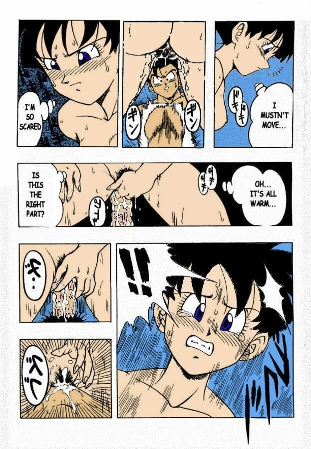 Dragon Ball H