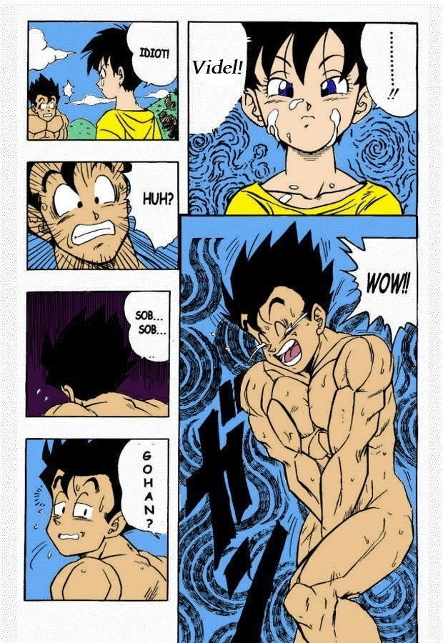 Dragon Ball H