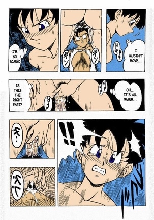 Dragon Ball H Page #17