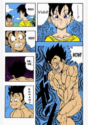 Dragon Ball H Page #14