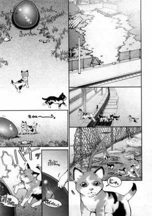 Strange Fruit Ch.1-15, Omake