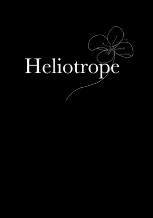 Heliotrope