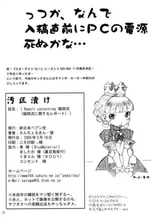 REPORT CONCERNING Kyoku-gen-ryuu Page #29