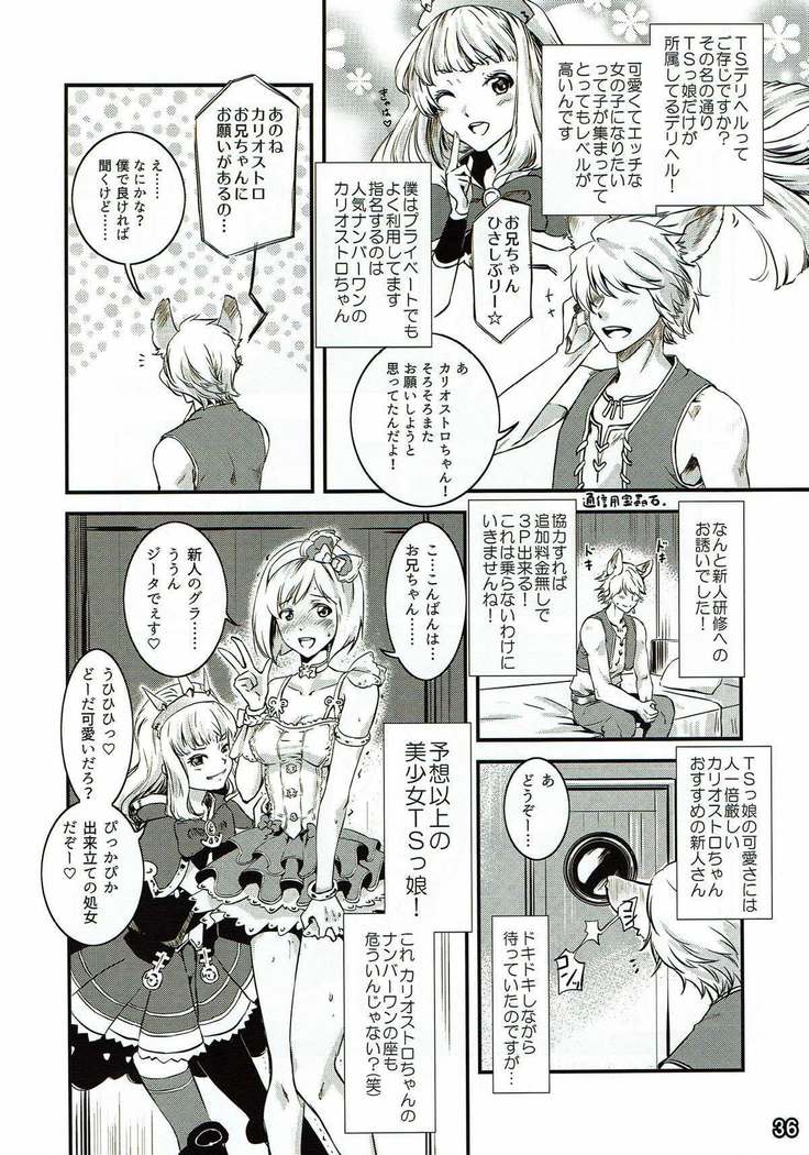 別冊 騎空士の隠れ家 第２号
