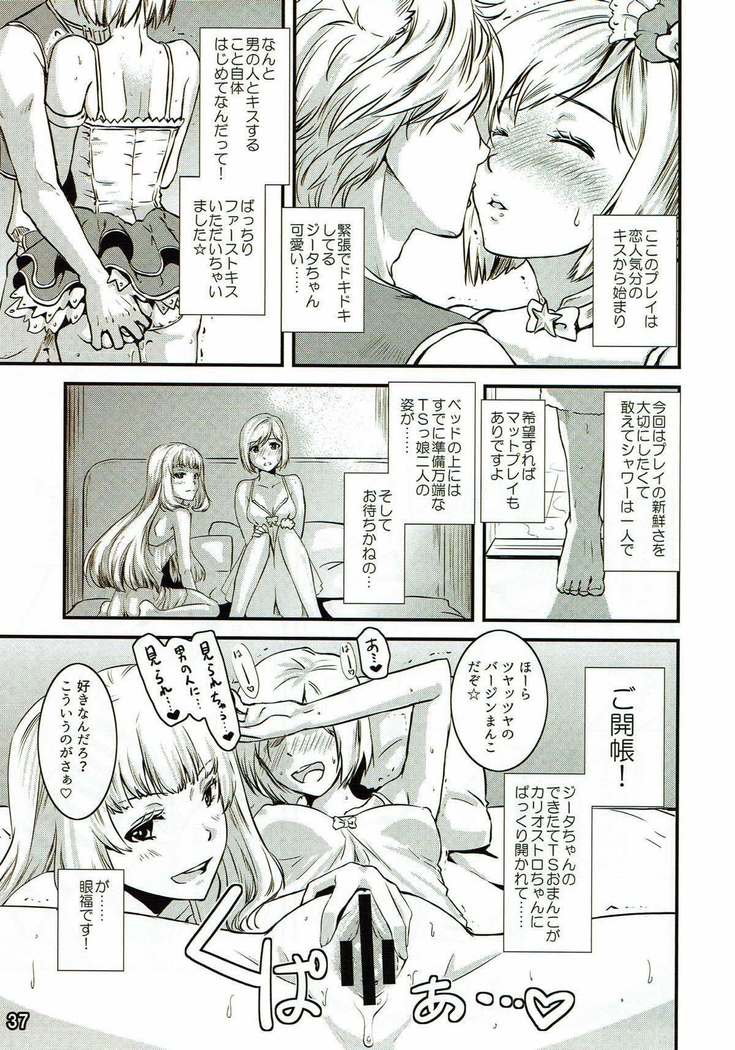 別冊 騎空士の隠れ家 第２号