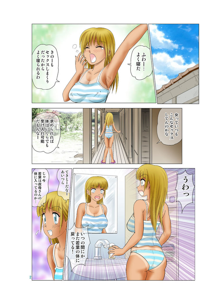 Irekae Mura Diary Soushuuhen Kopen