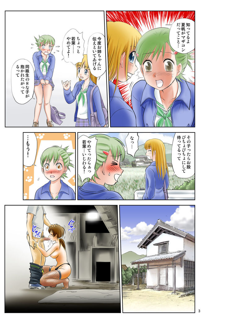 Irekae Mura Diary Soushuuhen Kopen