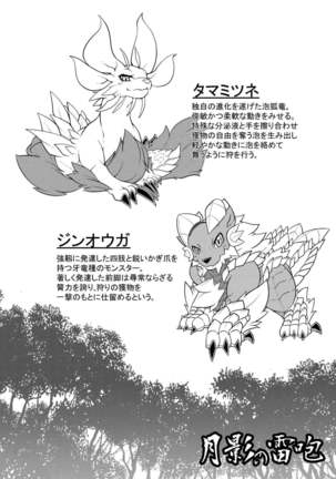 Tsukikage no Raihou - Page 3
