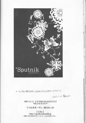 Sputnik Introduction Page #22