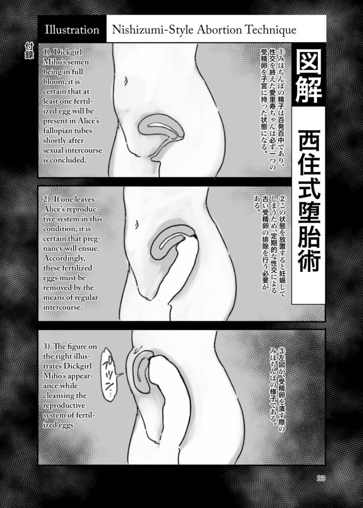 Chinpo Yakuza Miporin Boko Maso Arisu-chan Hen | Sadist Miporin Punches Masochist Pervert Alice-chan