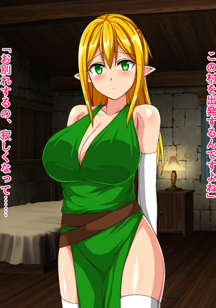 Anata wa Yuusha desu Elf Hen Page #29