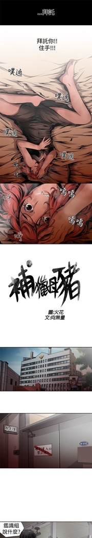 捕猎母猪