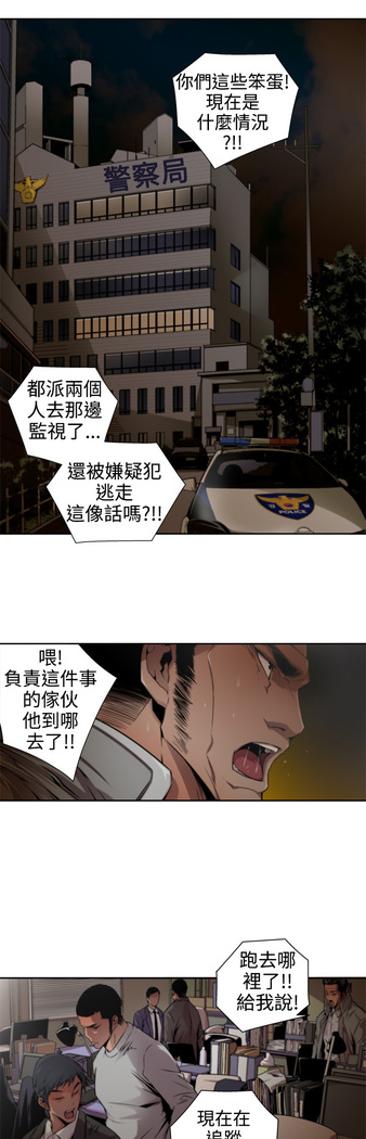 捕猎母猪
