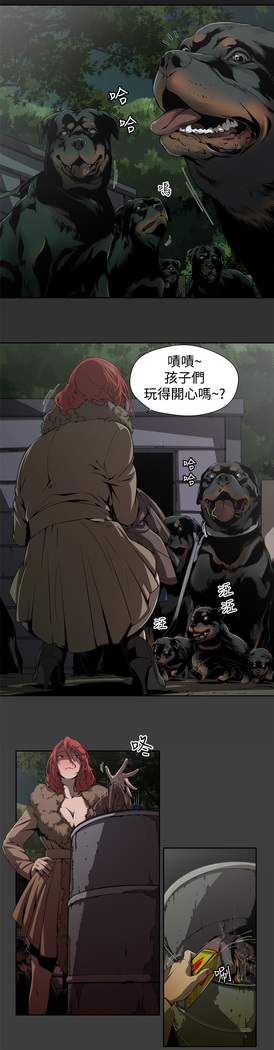 捕猎母猪