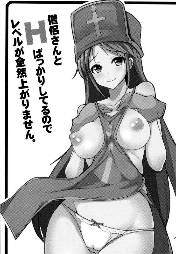 Souryo-san to H Bakkari Shiteru node Level ga Zenzen Agarimasen.
