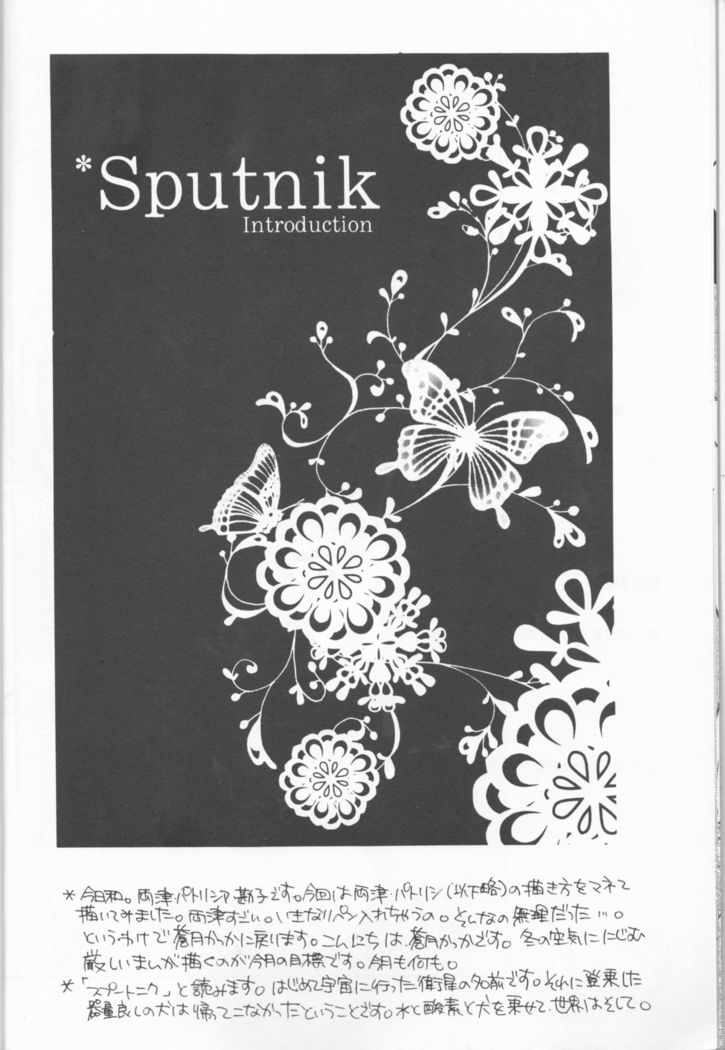Sputnik Introduction