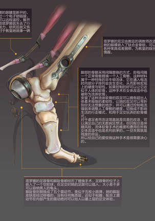 Pocket Corporation  口袋公司：续篇 Page #28
