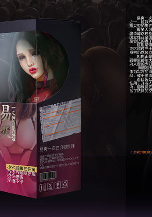 Pocket Corporation  口袋公司：续篇