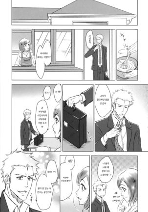 (C91) [A La Fraise (NEKO)] EVER AFTER ㅣ에버 애프터 (Bleach) [Korean] - Page 13