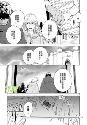 [isezaki] Akuziki Mazyo ha Kuroe Dake Tabe Nai~前后篇｜恶食魔女非克洛伊不吃~前后篇[中文] [橄榄汉化组] Page #40