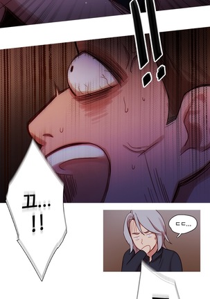 Scandal of the Witch Ch.0-33 Page #516
