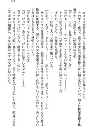 竜王の汚れ仕事! Page #323