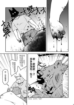 Image 3776800