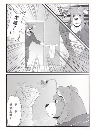 Image 5332518