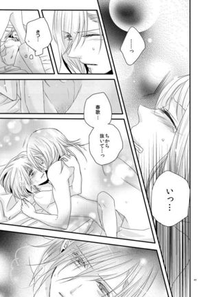 [OCELOT phalaenopsis Page #40