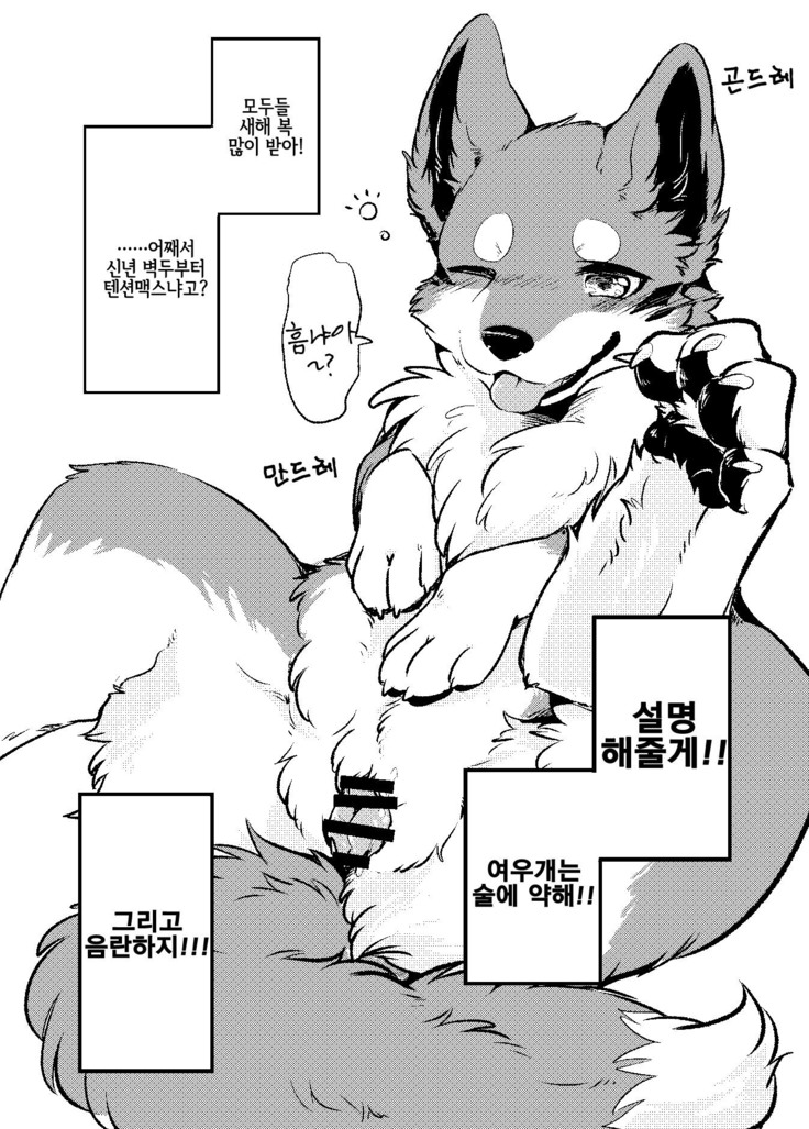 Kitsuneinu ni Nomaso!? | 여우개에게 들이켜줘!?
