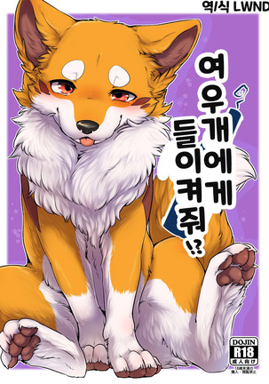 Kitsuneinu ni Nomaso!? | 여우개에게 들이켜줘!? Page #1
