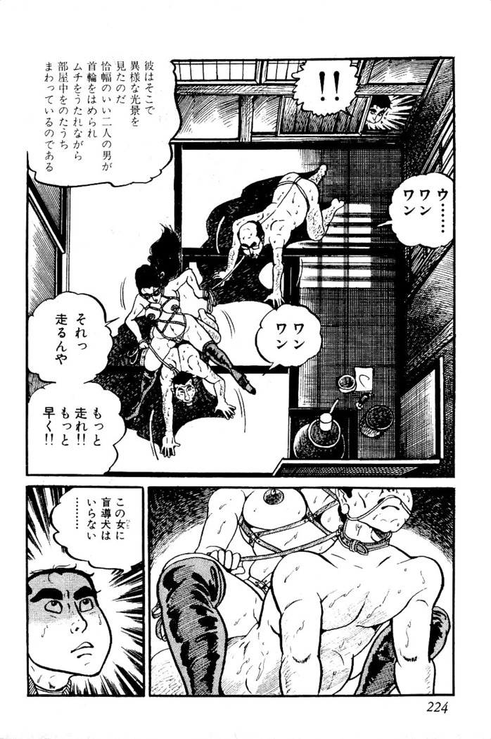 Koushoku Pet Sensei