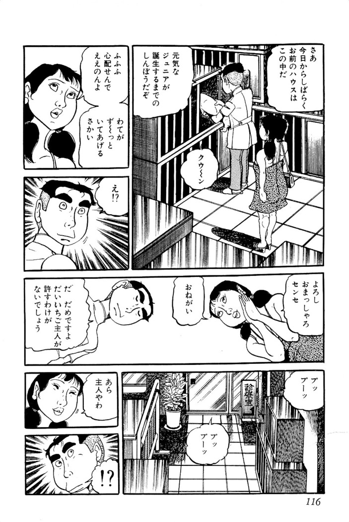 Koushoku Pet Sensei