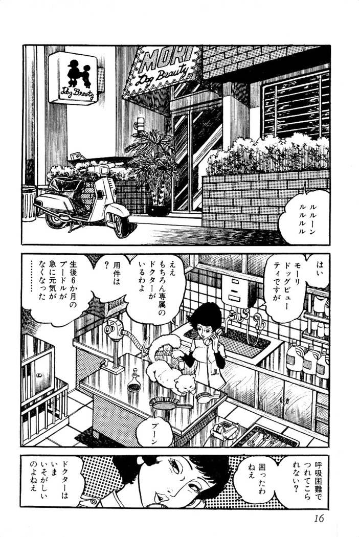 Koushoku Pet Sensei