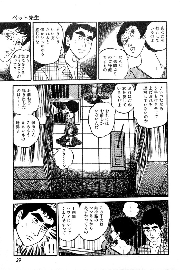 Koushoku Pet Sensei