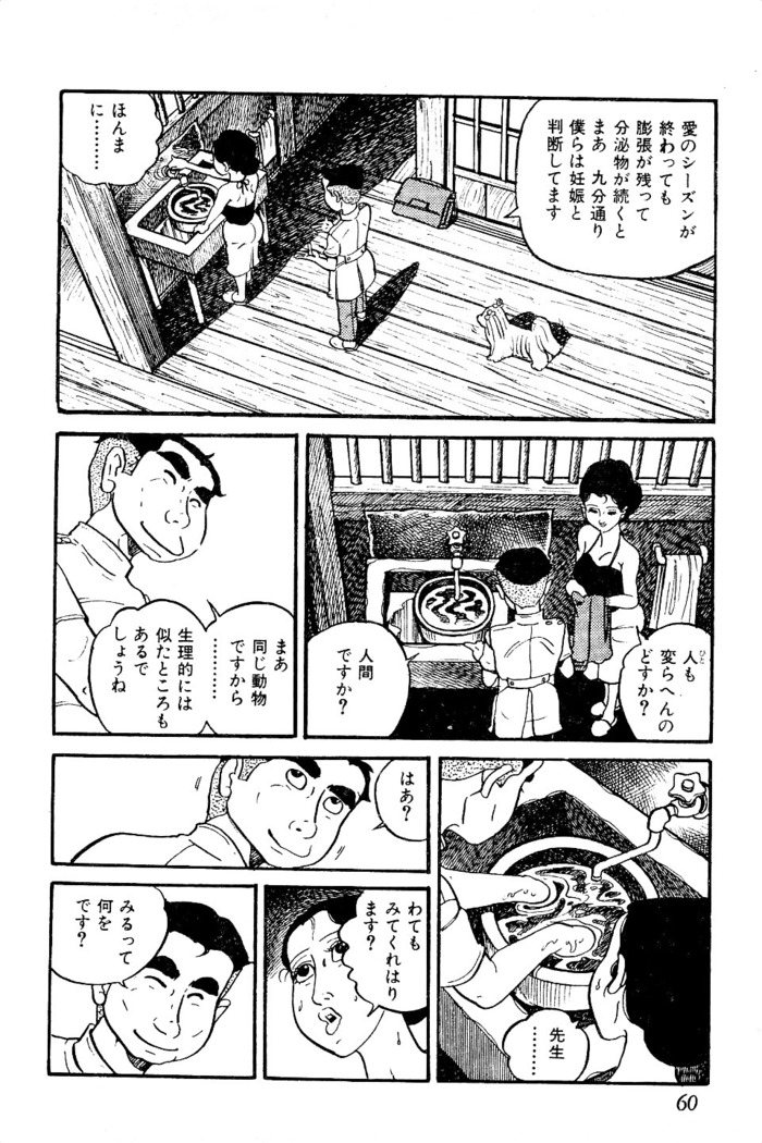 Koushoku Pet Sensei
