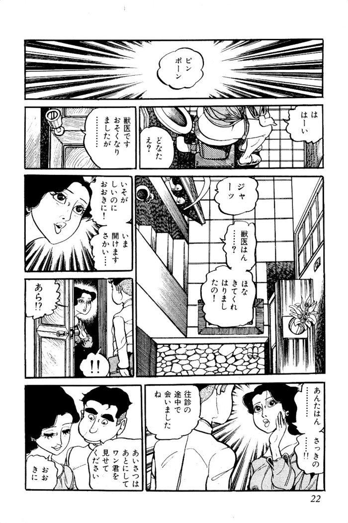 Koushoku Pet Sensei