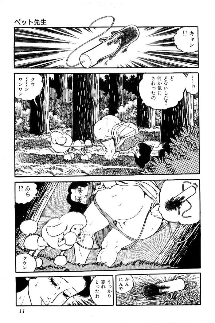 Koushoku Pet Sensei