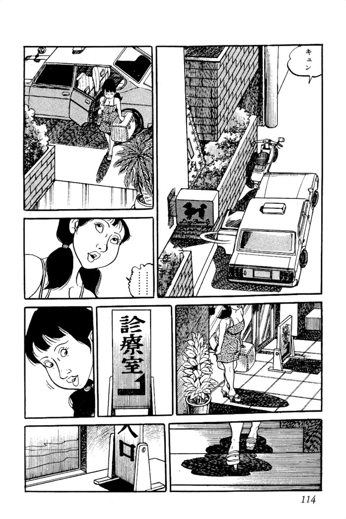 Koushoku Pet Sensei